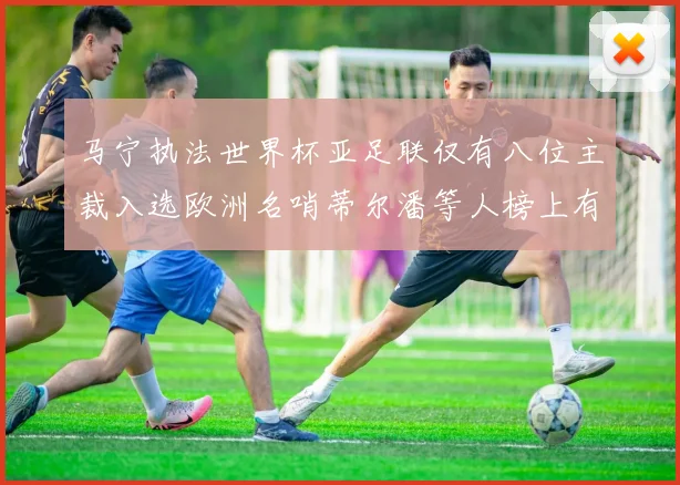 马宁执法世界杯亚足联仅有八位主裁入选欧洲名哨蒂尔潘等人榜上有名