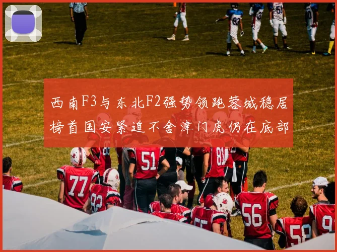 西南F3与东北F2强势领跑蓉城稳居榜首国安紧追不舍津门虎仍在底部挣扎