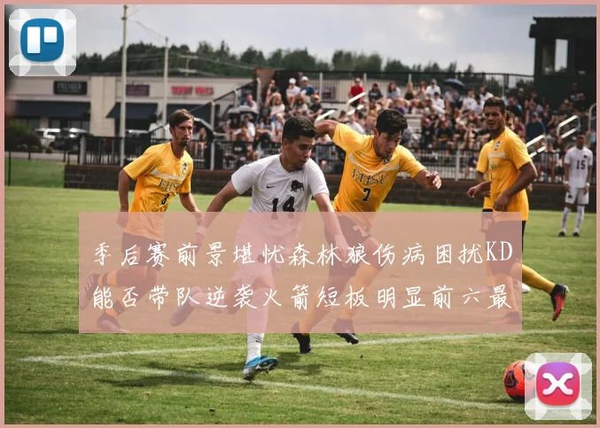 季后赛前景堪忧森林狼伤病困扰KD能否带队逆袭火箭短板明显前六最弱球队分析