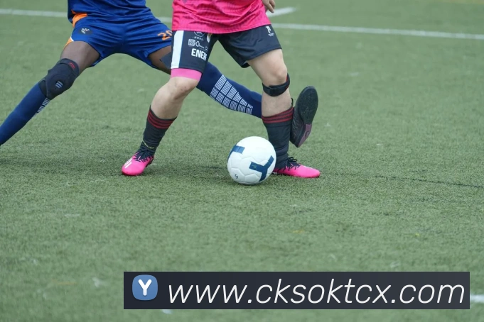 多彩内容专区